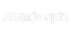 Atomic Spin